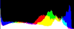 Histogram